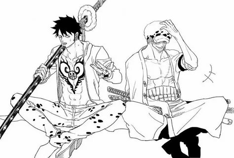 Trafalgar D Water Law Roronoa Zoro Strawhat Pirates Mugiwara