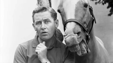 Alan Young Mr Ed Tribute RIP in Peace - YouTube