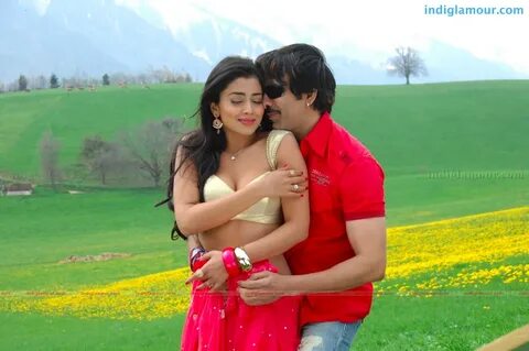 Don Seenu *ing Ravi Teja, Shriya Saran Telugu Movie Images Pictures Photos ...
