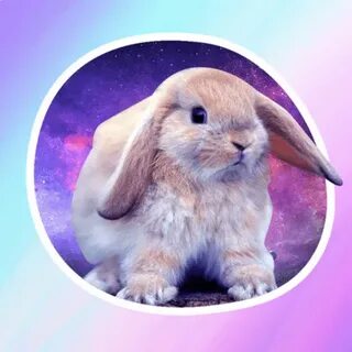 Space Bunnies! Stickers App for iPhone - Free Download Space