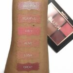 Profusion Cosmetics $5 Studio Icon Blush Palette Review + Gi