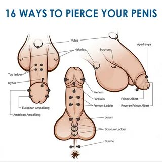 Penis Piercing Types That You Must Know - Body Art Guru