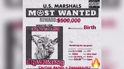 Goat Talk - BigWalkDog Shazam