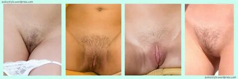 Female porn star pubic styles