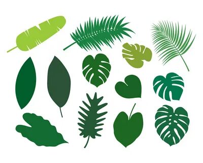 Tropical leaves svg on Behance