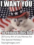 WANT YOU 20 Funny 4th of July Memes for This Special Holiday