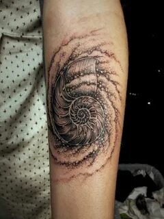 Flickr Shell tattoos, Spiral tattoos, Fibonacci spiral tatto