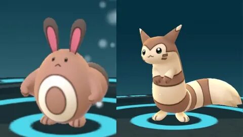 Evolving Sentret Furret Pokémon GO Second Generation - YouTu