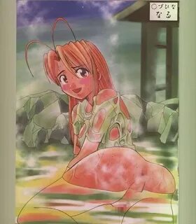 Naru Love Hina - 21 - エ ロ ２ 次 画 像