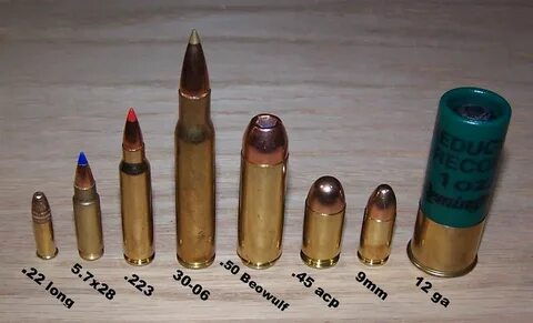 Left to right: .22, 5.7x28mm, .223, .30-06, .50 Beowulf, .45