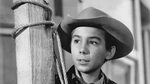 What Was Johnny Crawford's Net Worth When He Died?