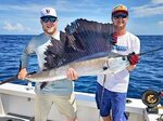 Florida Charter Fishing Reviews Sea Leveler Sport Fishing