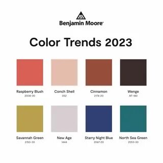 2023's hair color trends that will leave you breathless