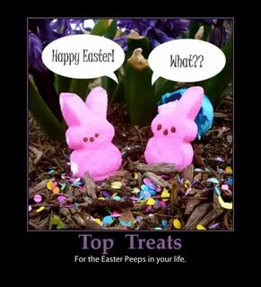 easter sunday funny quotes Easter peeps, Easter quotes, East