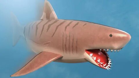 SharkBite Codes - Free Shark Teeth and More