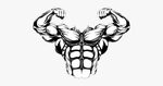 Muscle Muscles Muscleman Champion Abs Sixpack Chest - Clip A