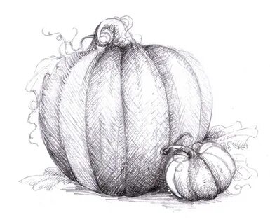 Pumpkin Drawing - How to Draw a Chalk Pumpkin - Lily & Val L