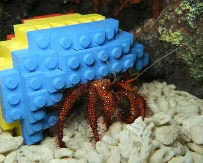 This stylish hermit crab's new shell Cool lego creations, He