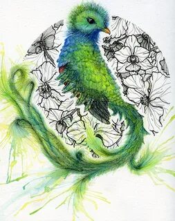 Quetzal on Behance
