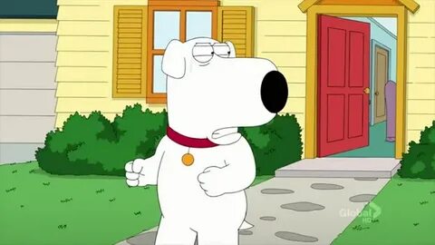 YARN Brian's Play - Family Guy S11E10 popular video clips 紗