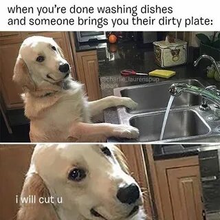 Pin by Morgan Olberding on l o l s Funny memes, Washing dish