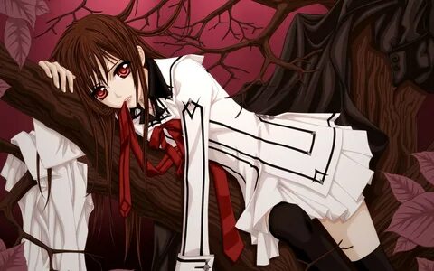 Vampire Knight HD Wallpaper