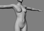 Female anatomy (nudity) - ZBrushCentral