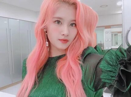 sana pics on Twitter Temporary hair color, Long pink hair, H