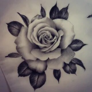 Get 26+ Black And White Realistic Rose Tattoo Designs - Opri