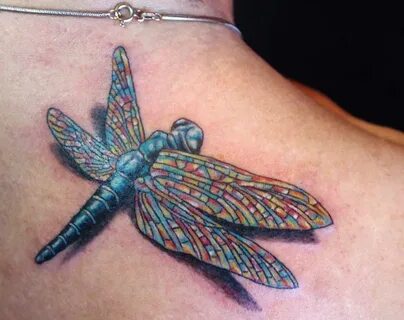 Celtic Dragonfly Tattoos Dragonfly Tattoos For Women Tattoos