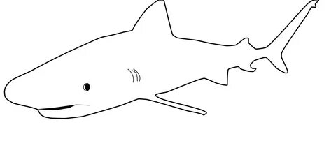 outline of a shark - Besko