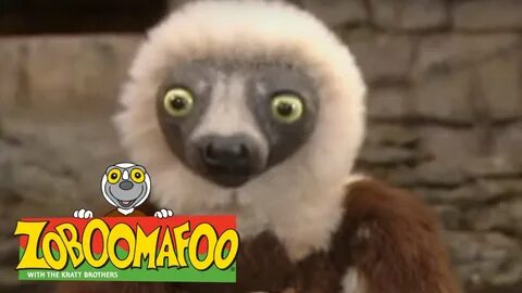 Zoboomafoo 224 - Ants and Eaters (Full Episode) - YouTube