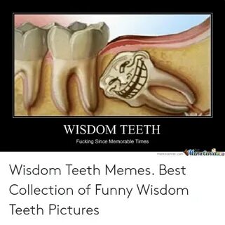 🐣 25+ Best Memes About Teeth Memes Teeth Memes