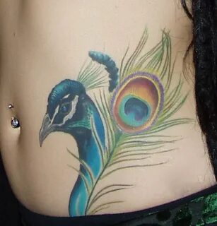 7 Peacock Tattoos on Stomach Images and Designs