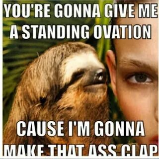 Best sloth Memes
