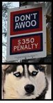 DON'T AWOO $350 PENALTY Awoo Meme on awwmemes.com