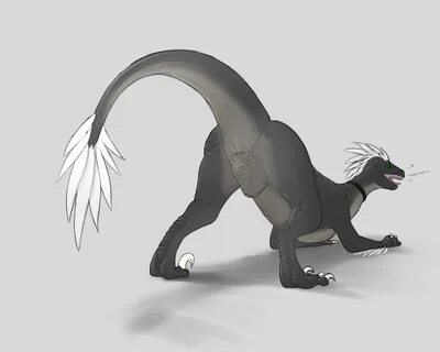 Feral Dinosaur Mating - Raptor Drayke - Herpy Image Archive