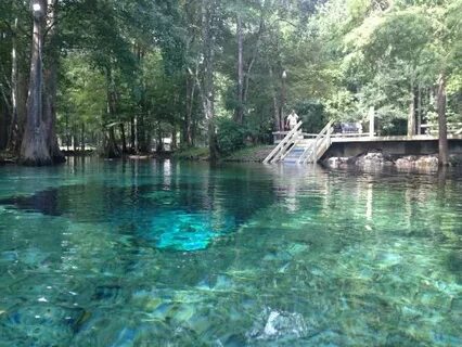 ухоженный парк для активного отдыха - отзыв о Ginnie Springs