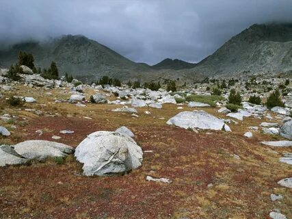 Explore the World's Tundra Biomes, Landscape, Arctic tundra