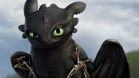Pictures Of Wallpapers How To Train Your Dragon Toothless Fl