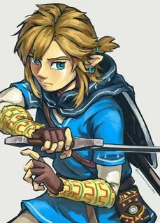 Image result for link and zelda botw Legend of zelda breath,