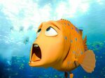 Free Animation Fish, Download Free Animation Fish png images