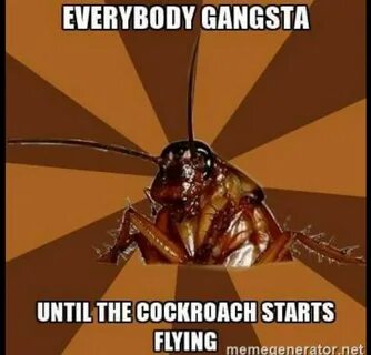 Cockroach Random Roaches, Funny as hell, Funny comedy