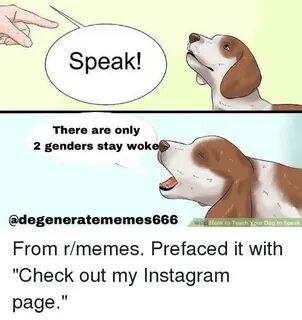 Speak! There Are Only 2 Genders Stay Woke Adegeneratememes66