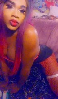 3527453393 Dazzling Tampa, FL shemale escort is available fo