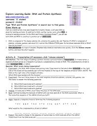 Gizmo Student Exploration Rna And Protein Synthesis Answer K