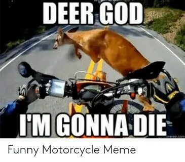 🐣 25+ Best Memes About Funny Motorcycle Memes Funny Motorcyc