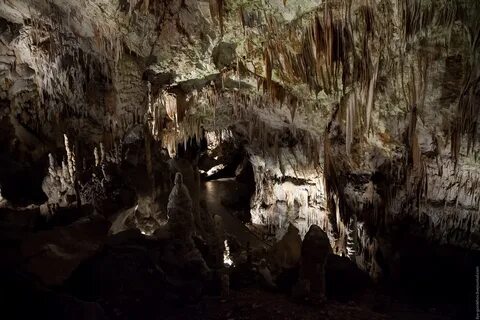 Пещера Постойнска-Яма