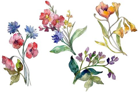 Wildflowers the Beauty Watercolor Png (Graphic) by MyStocks 