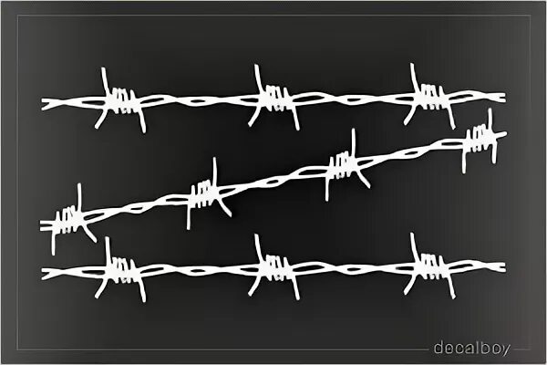 Barbed Wire Pinstripe For Trucks - Free Wire Vectors 5 000 I